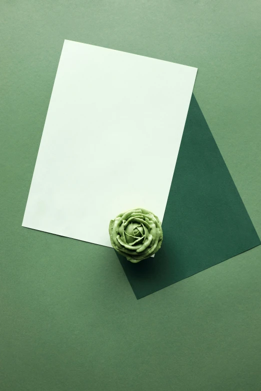 a green rose on a white sheet of paper on top of a table