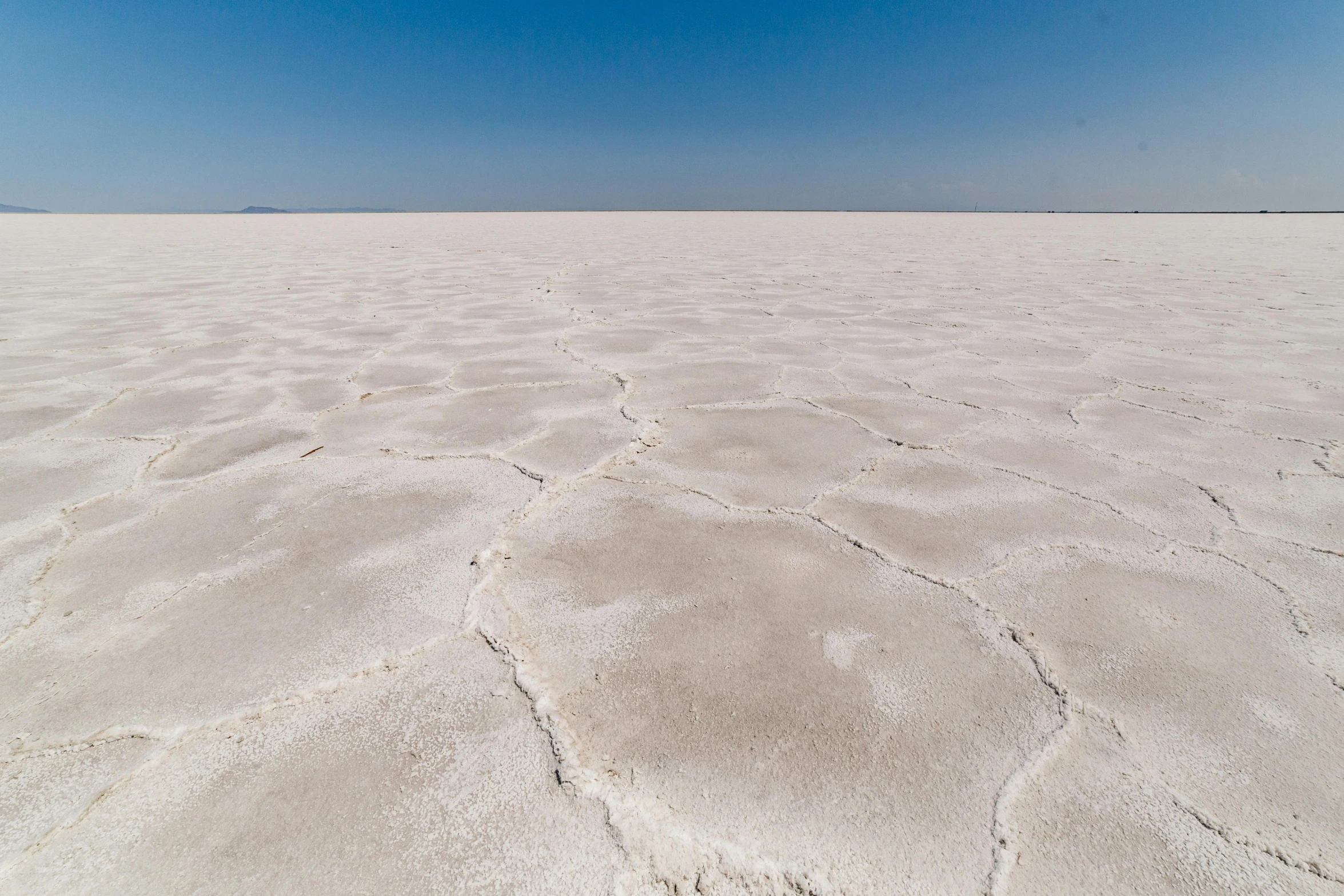 a po of the vast barren land with trees on the horizon