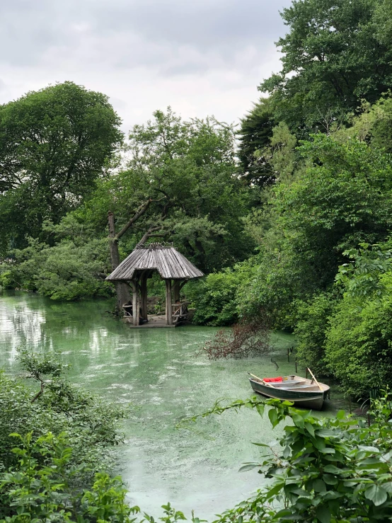 a boat in a river with green water