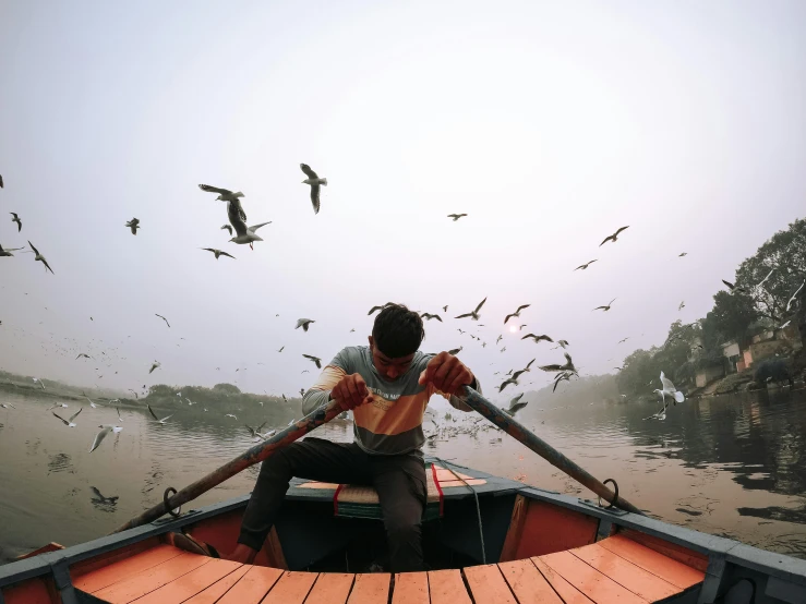 a person is in a row boat filled with birds