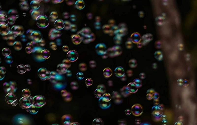 many bubbles floating in the air next to a tree