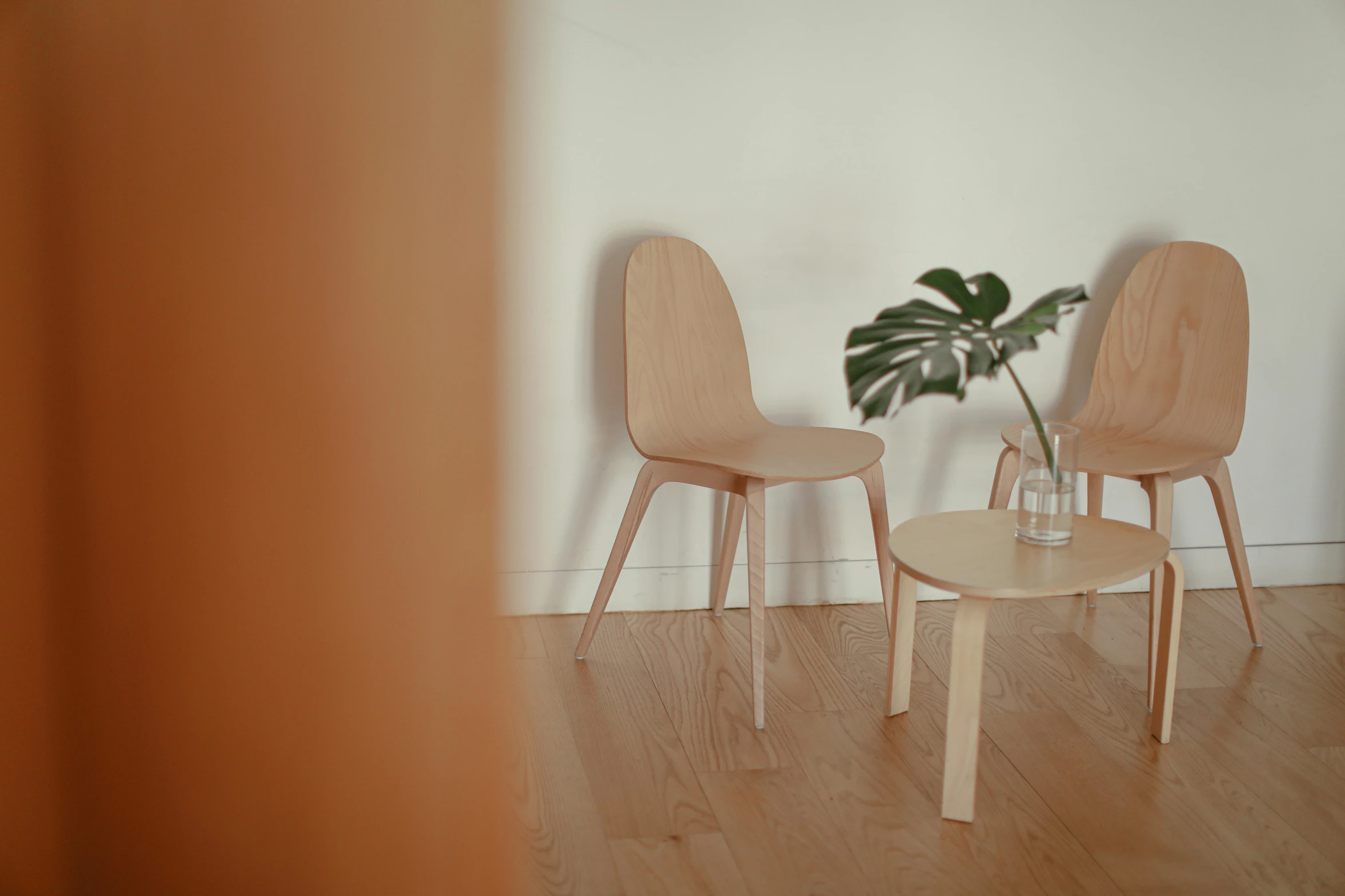 two chairs next to a plant in a living room