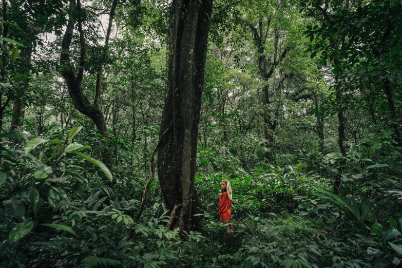 a woman in red standing by a big tree