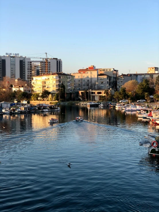 the harbor of a city with many boats