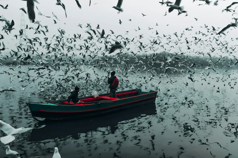 a man in a boat surrounded by many seagulls