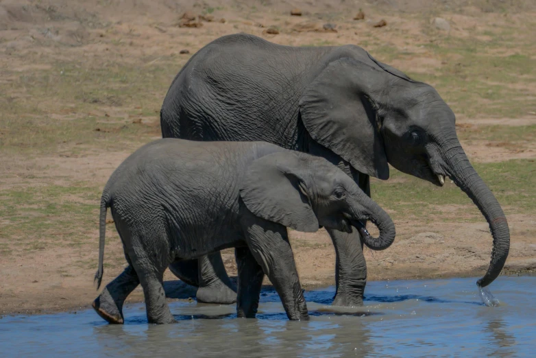 two adult elephants and a baby elephant in a watering hole