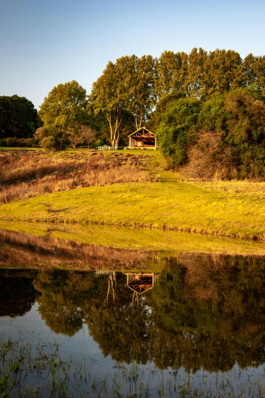 some trees on the side of a field