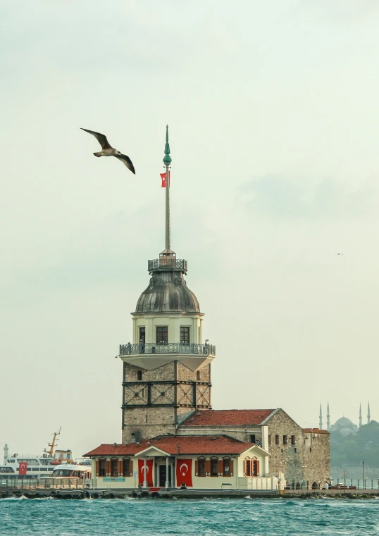 two birds flying above a building with a tower