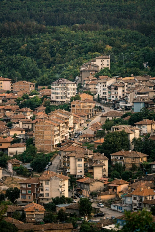 a very small town in the middle of some trees