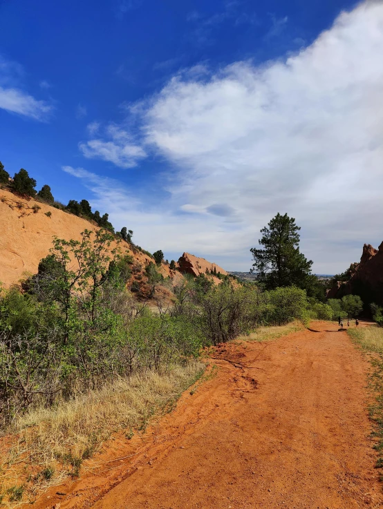 a dirt path winds through trees near the side of an orange dirt road