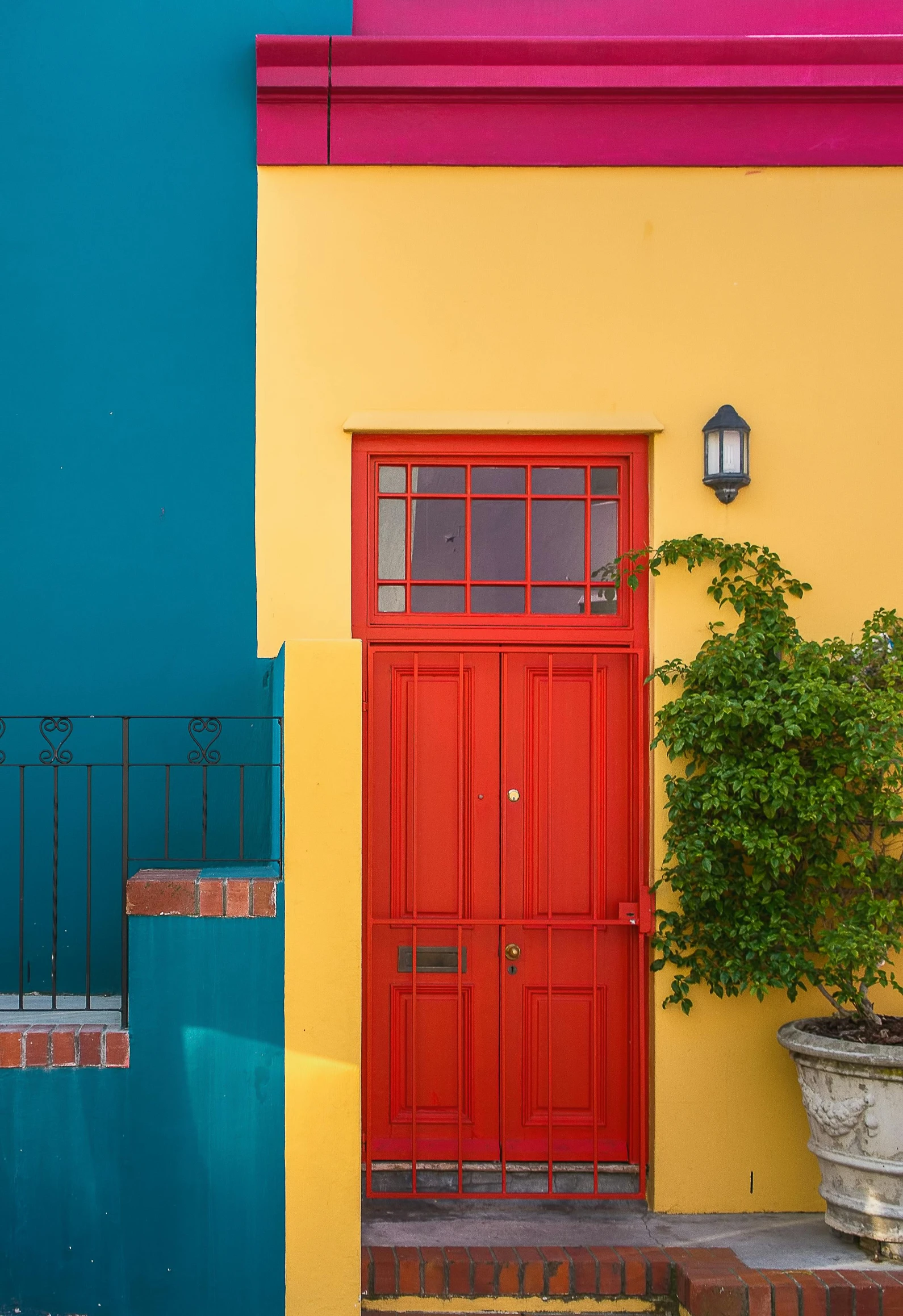 a very bright red door and green plant against a bright colored wall