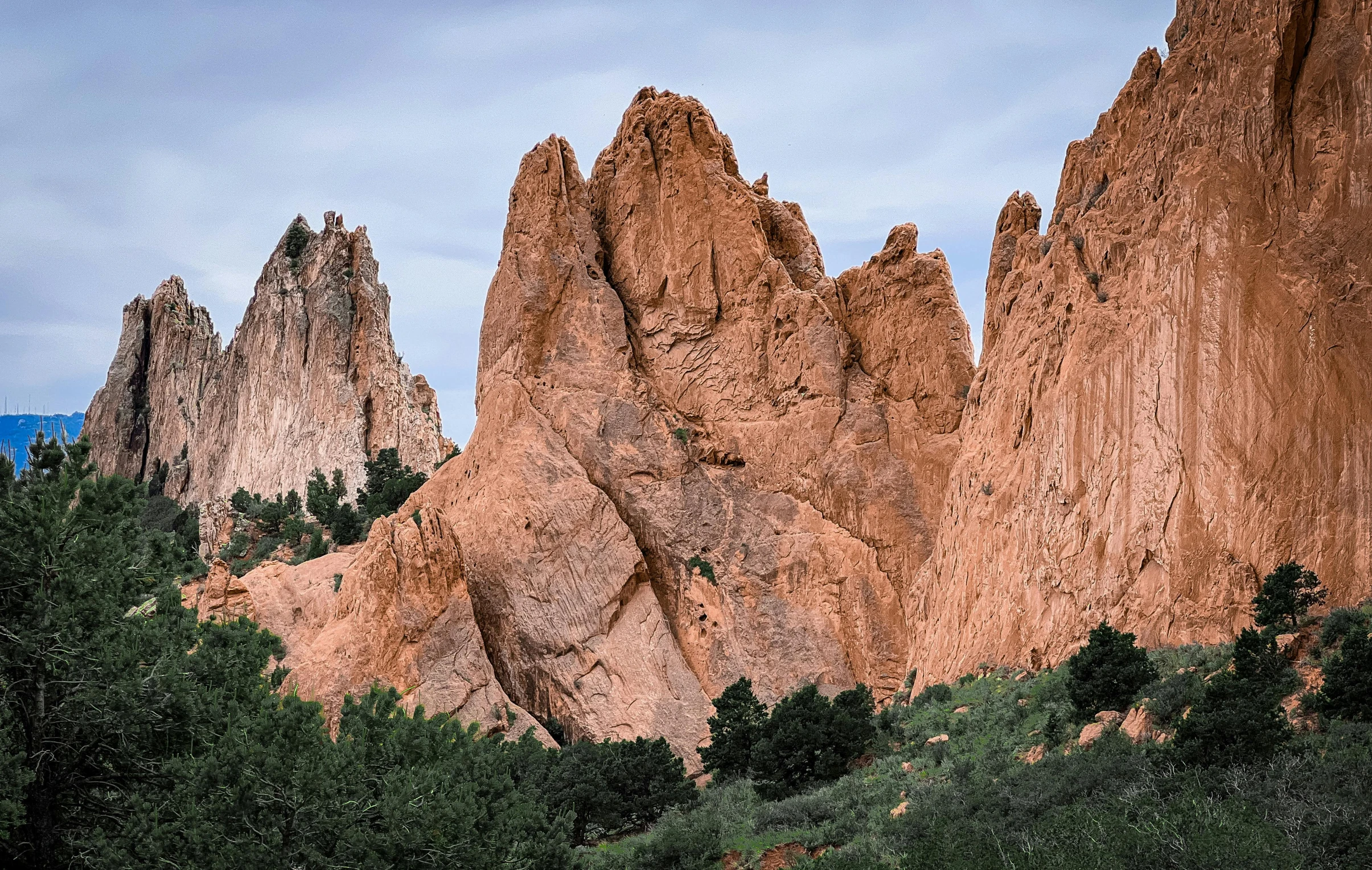 a bunch of mountains with trees in the foreground