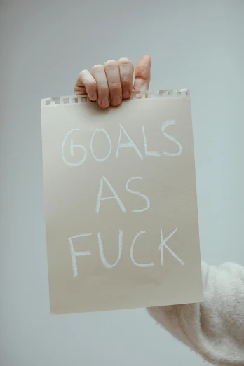 hand holding sign with words on paper saying goals as fick