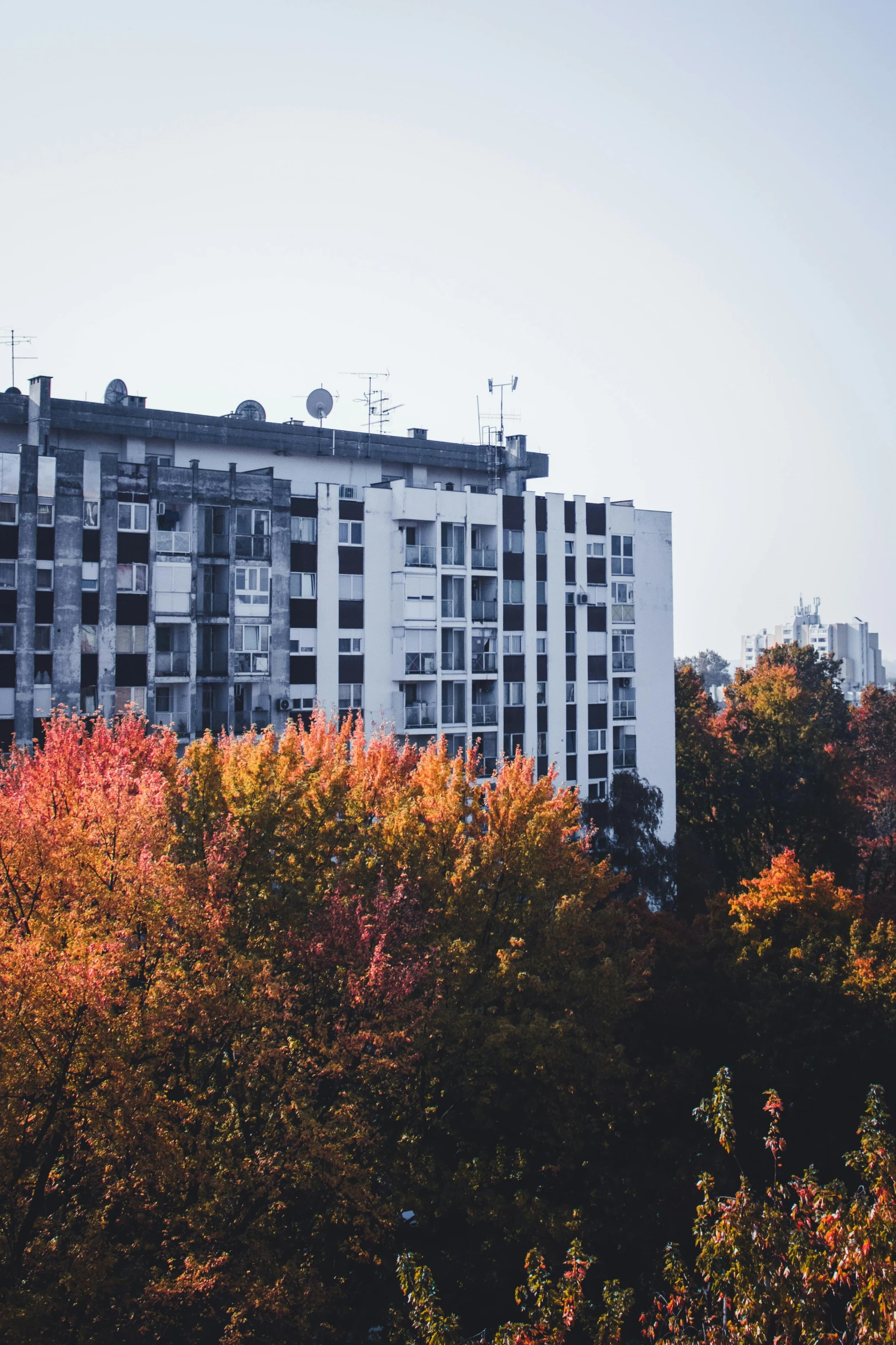 a tall white building near many trees in autumn