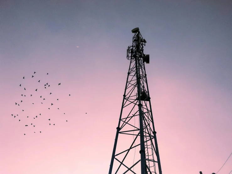 a large number of birds flying by a tower