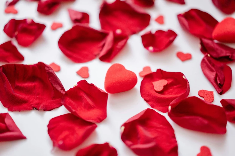 heart shaped petals laid in the shape of hearts