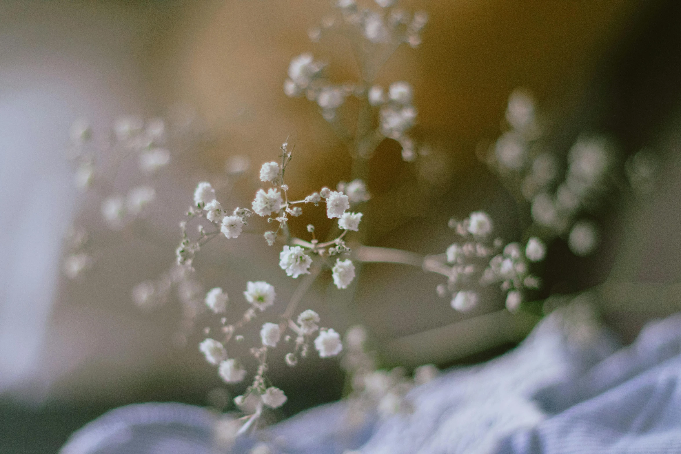 a bouquet with white flowers sitting on top of a bed