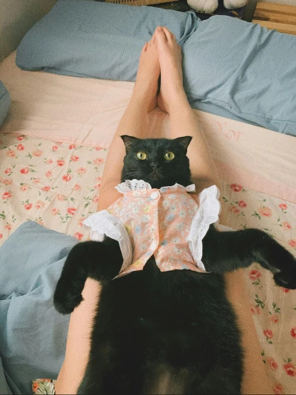 a person lying in bed with a black cat
