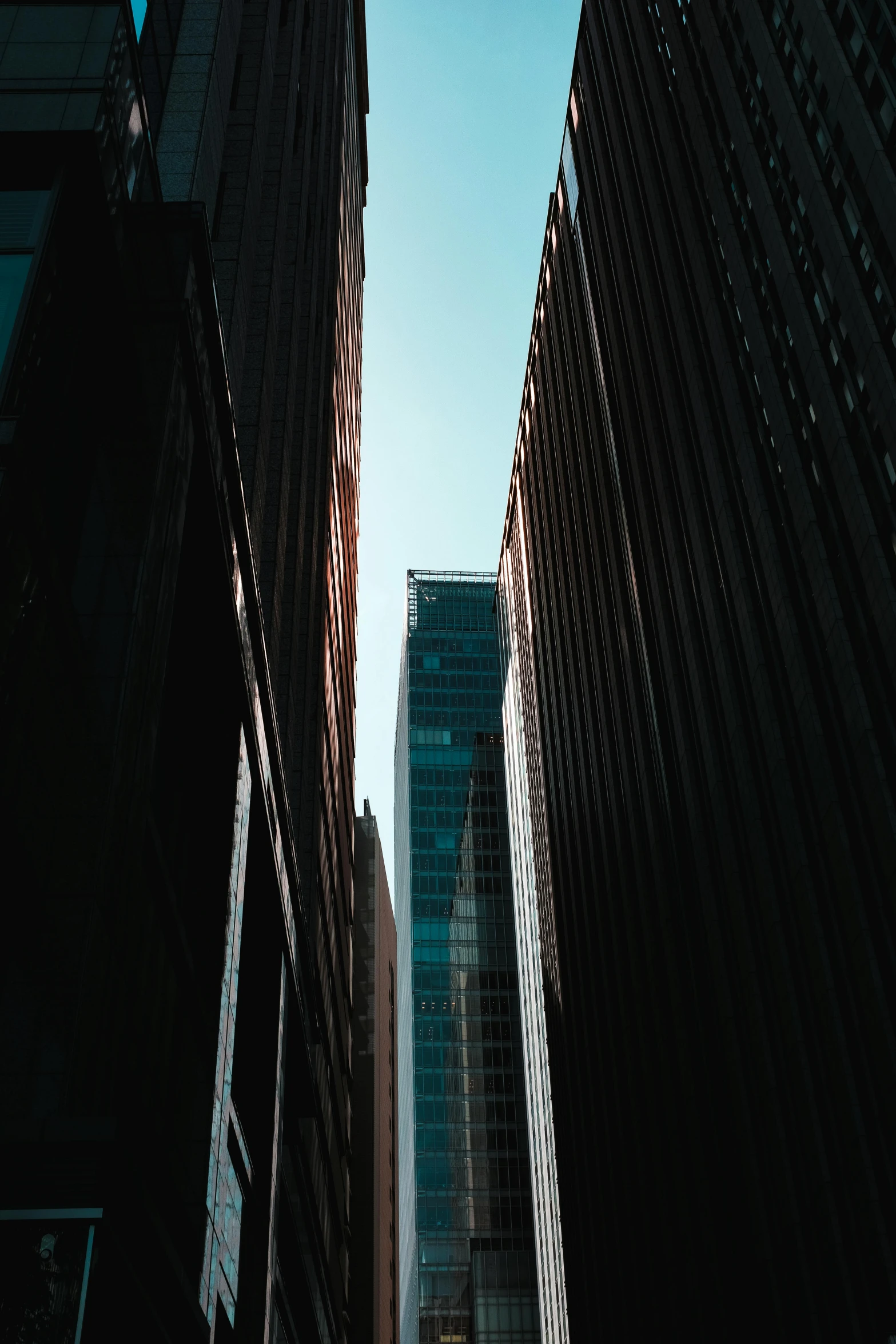 several tall skyscrs on the side of a city street