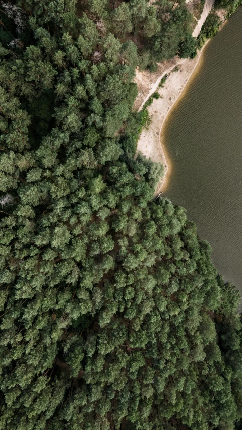 an aerial view of a river surrounded by trees