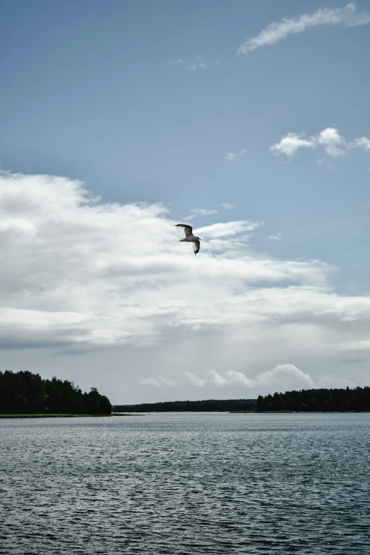 the eagle is flying over the water under a cloudy sky