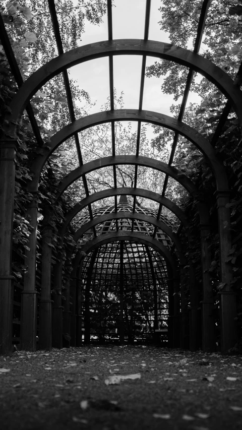 the walkway in black and white is covered with an arched roof