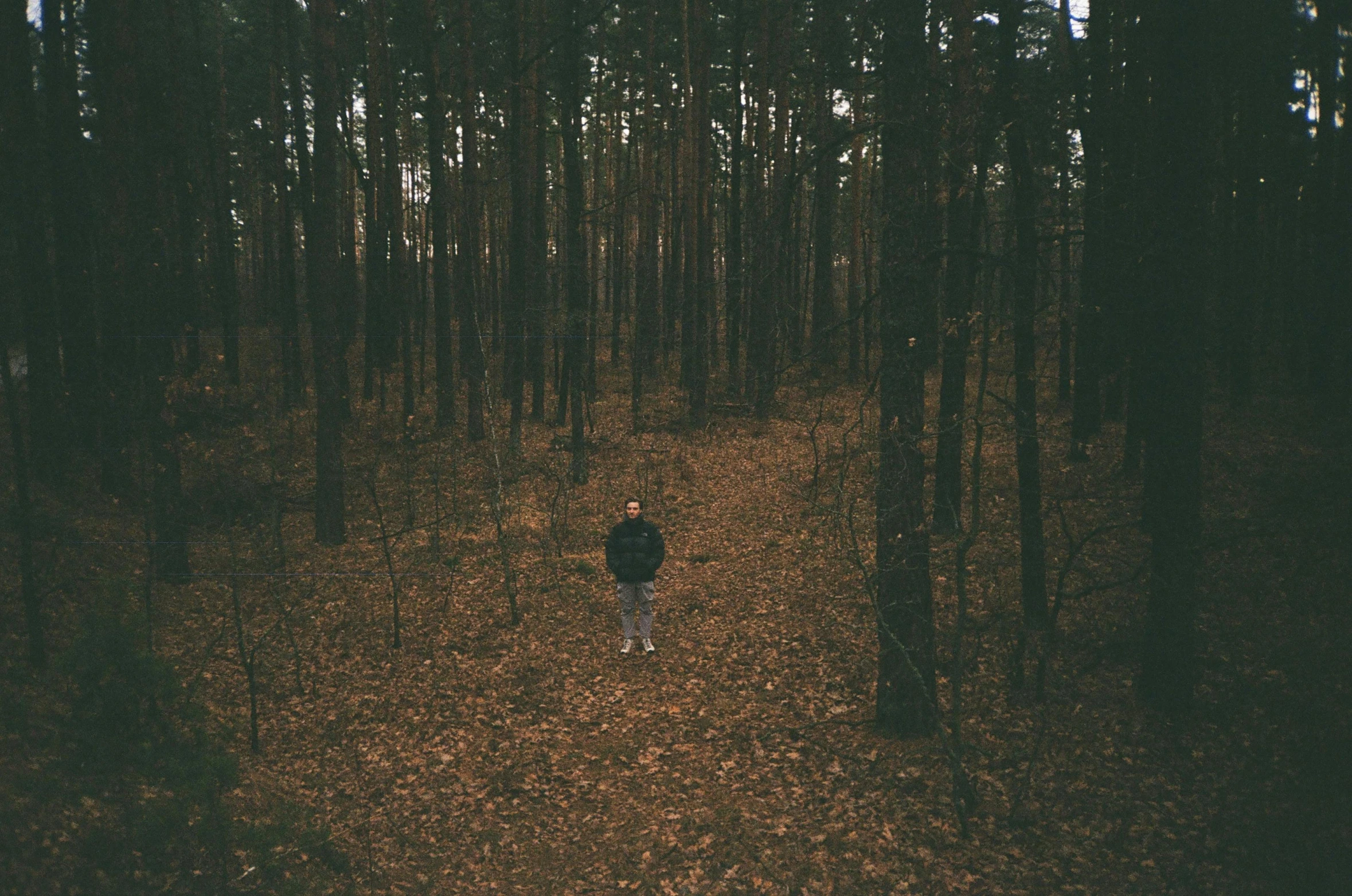 a man walks through a forest in the fall