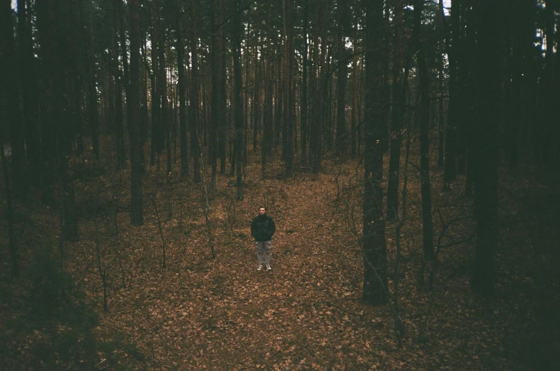 a man walks through a forest in the fall