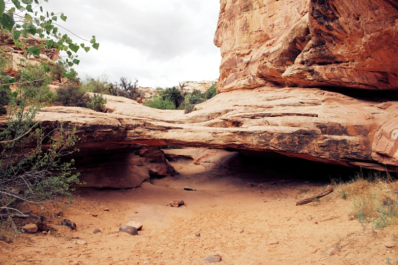 rocks and green plants in a desert area