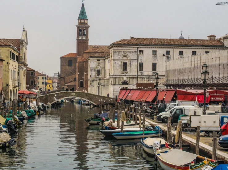 boats are docked at the dock near a street