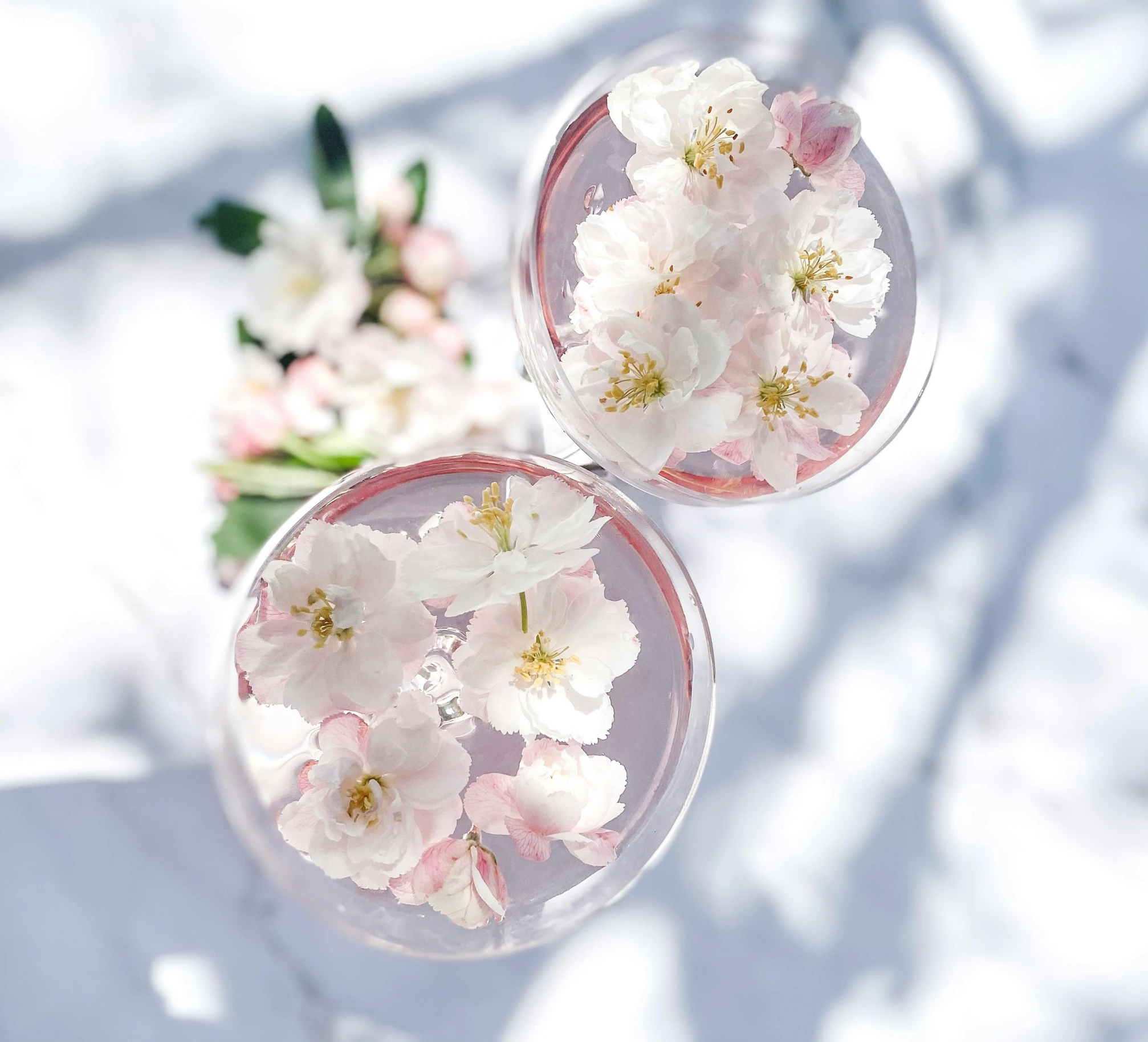 two glasses filled with liquid and white flowers