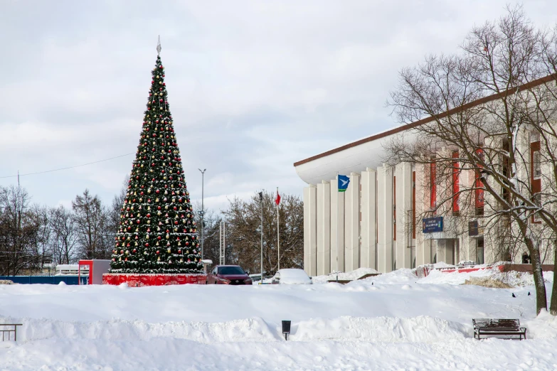 a large christmas tree stands in a deep pile of snow