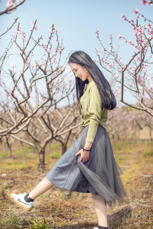 a  stands in a field of blooming cherry trees