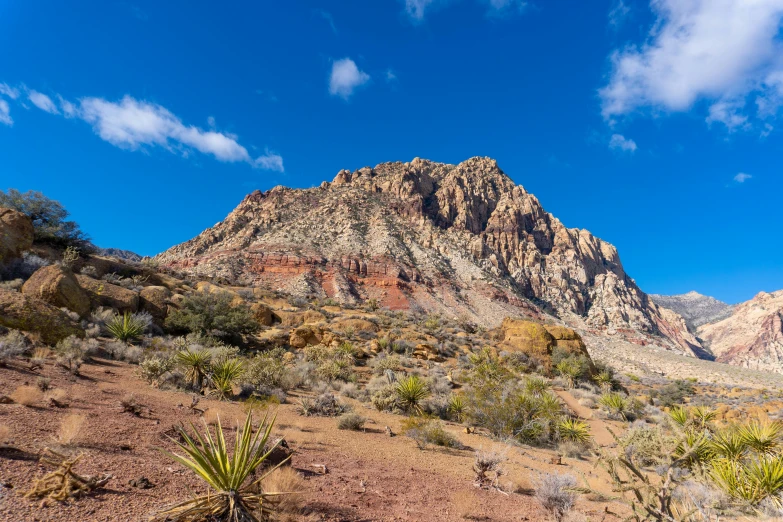 a brown rock cliff on top of a desert landscape