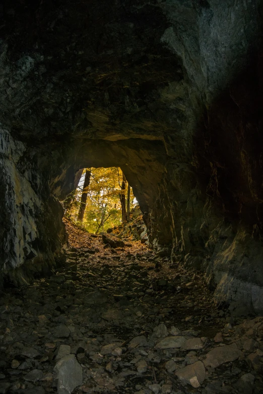 a very big dark cave that looks like it is inside