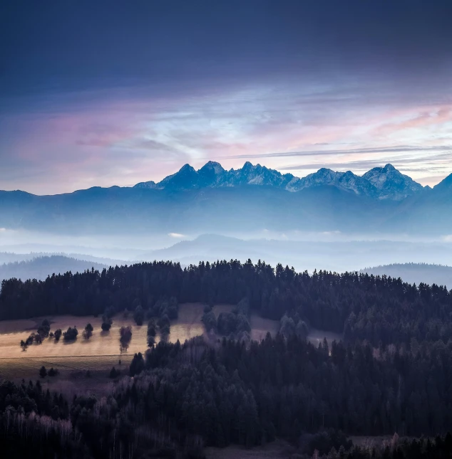 a view of a forest with mountains in the background