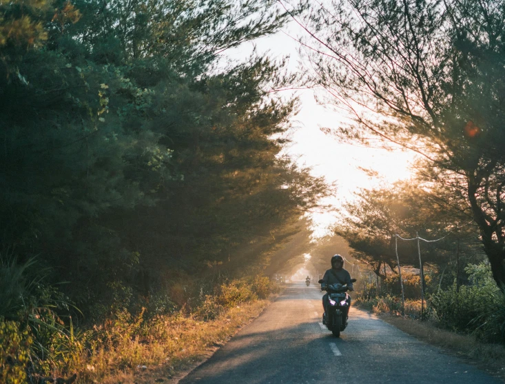 a man rides a motorcycle down a wooded country road
