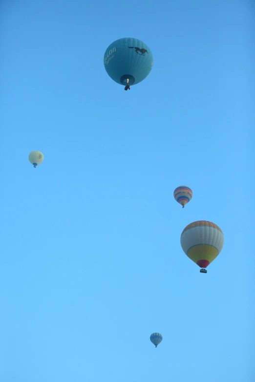 several  air balloons flying in the sky