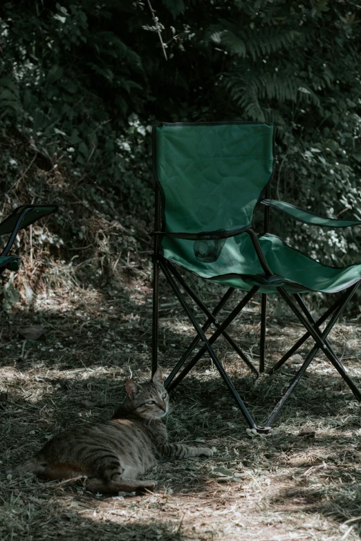 an empty chair sitting in the shade by the woods