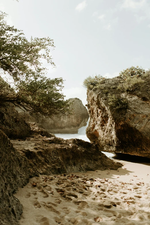 an empty sandy area with trees, rocks and water