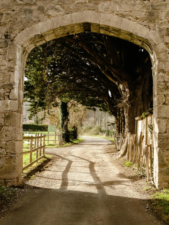 a very beautiful archway leading into a big field
