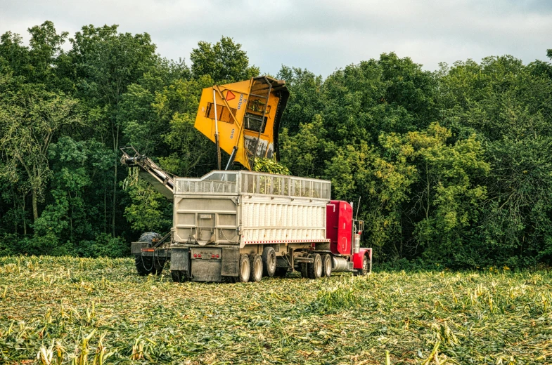 a tractor trailer is sitting in a grassy field