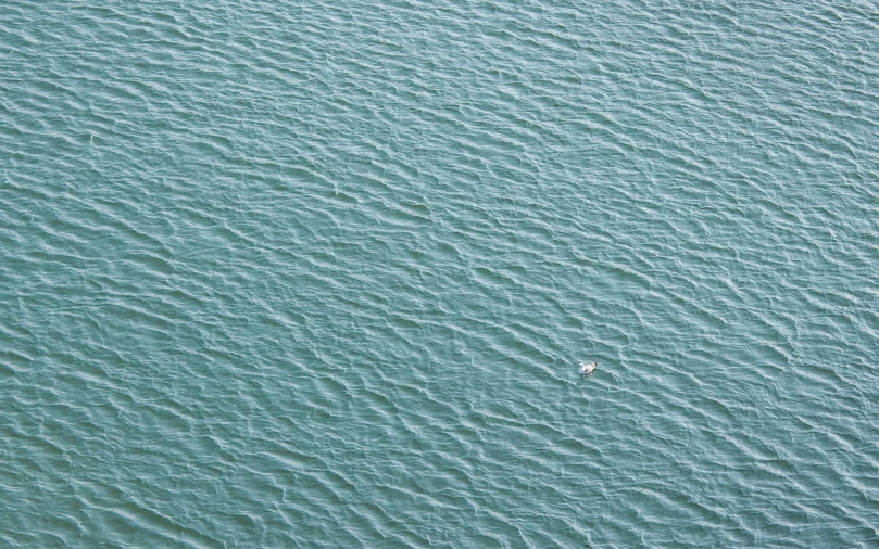 a boat floats alone in the ocean near shore