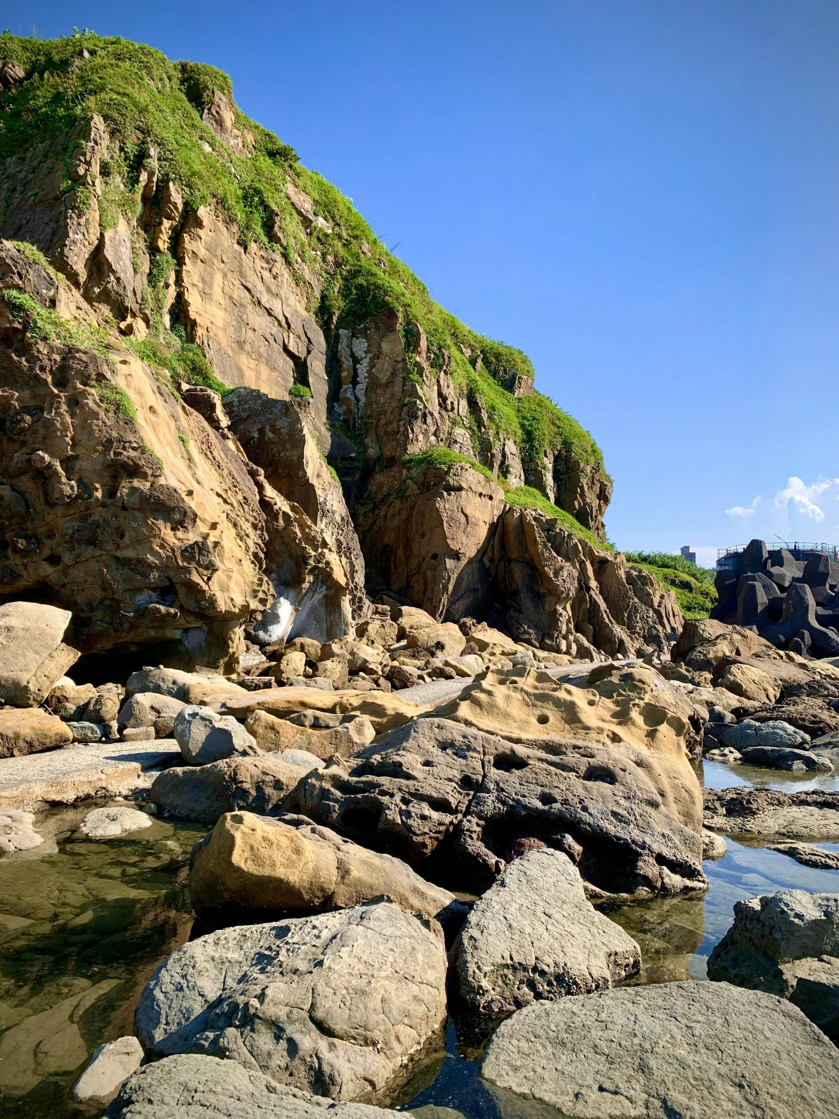 rocks and water at the beach that is covered in green moss