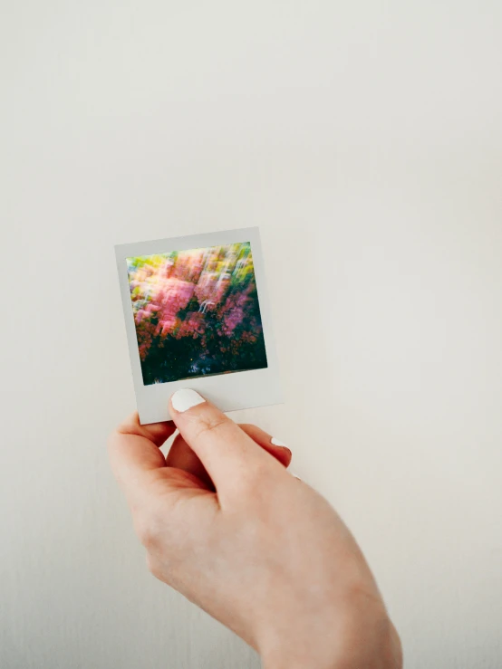 someone holding up some polaroid print of a flower