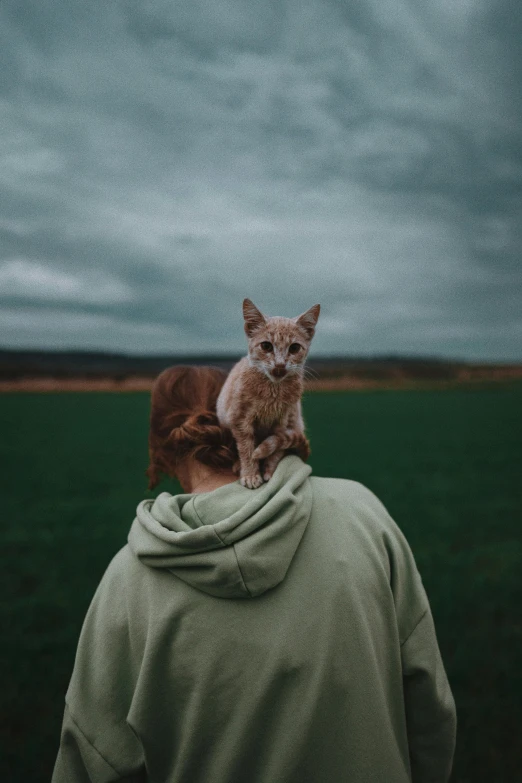 a man carrying his kitten on the back of his head