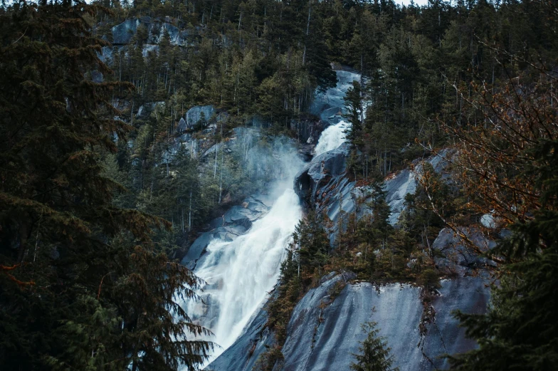 a waterfall with several trees around it