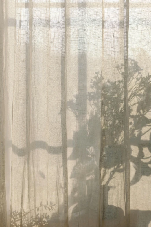 the shadow of a plant on a curtain
