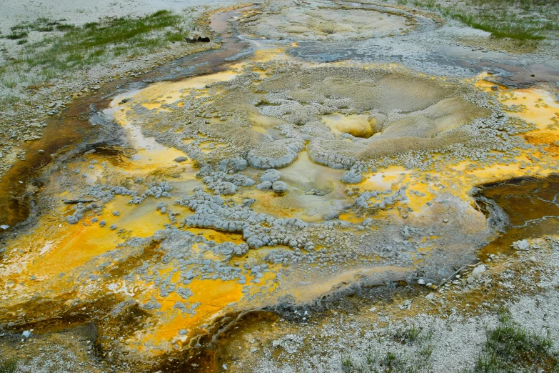 yellow and grey substance on the ground by grass