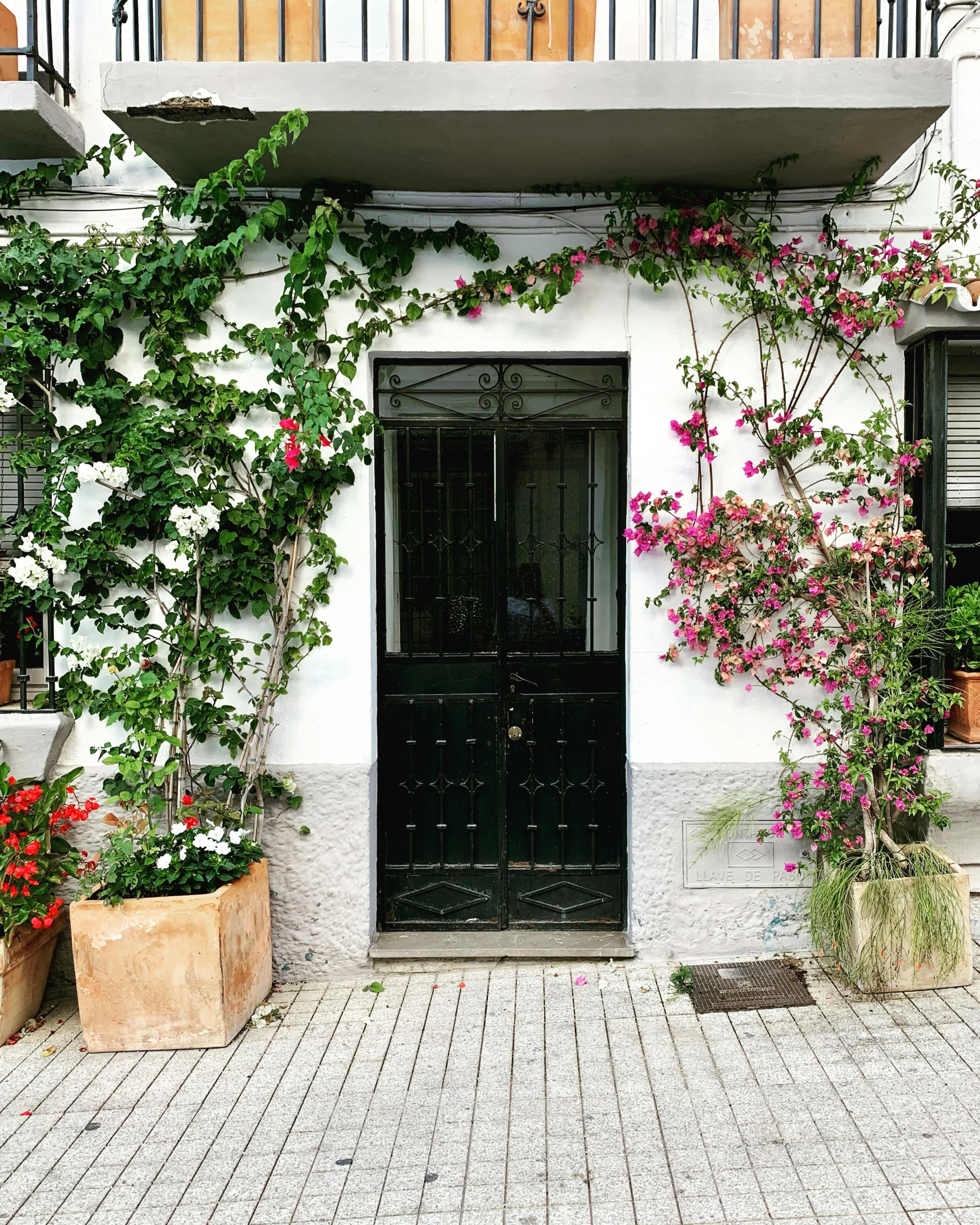 a building with a big black door surrounded by flowers